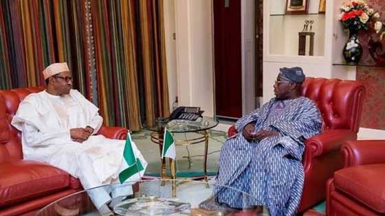 Obasanjo: Galibin Masu Son Zama Shugaban Ƙasa Ya Kamata Suna Ɗaure a Gidan Yari