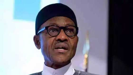 "Boko Haram technically defeated" You need to read what Buhari has to say