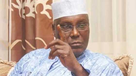 Na hannun damar Atiku ya fadi mutumin da ya hana gwaninsa sakat a siyasa, ya ce zasu yi maganinsa wannan karon