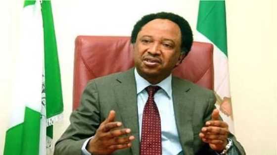 Dakatar Da Twitter: Shehu Sani Ya Bayyana Hanya Mafi Sauki Don Hawa Twitter
