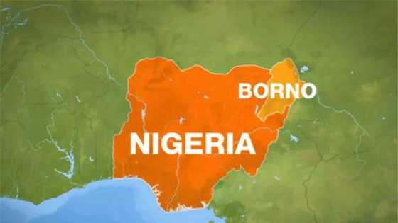 8 missing as suspected Boko Haram terrorists attack Borno
