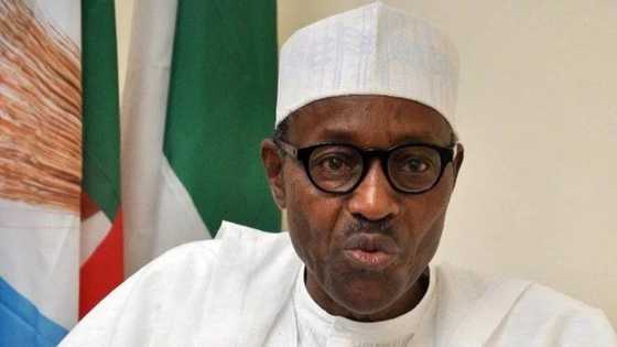 Insecurity: Senator addresses alleged plan to impeach Buhari, sends message to Nigerians