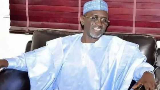 Tirkashi: APC na shirin sauya sunan Ibrahim Shekarau