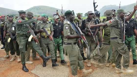 Tubabbun 'yan bindiga sun koma ruwa, sun shiga hannun 'yan sanda a Katsina