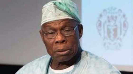 Arewa group blasts Obasanjo, says his new coalition is a selfish agenda to divide Nigeria