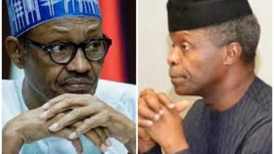 Buhari should resign, confirm Osinbajo as president - International group