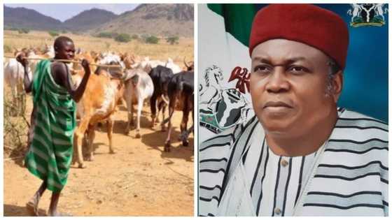 Taraba governor appoints special advisers on herdsmen, farmer relations