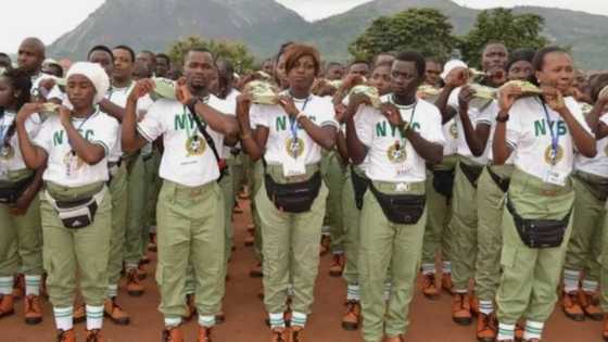 NYSC set to launch job portal to reduce unemployment among Nigerian graduates