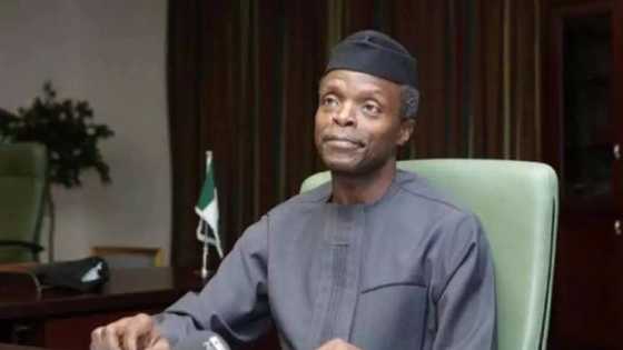 Just in: Osinbajo presides over FEC meeting as acting president