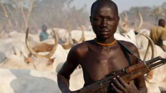 Shugaban Fulani ya mika makamansa ga sojoji a Zamfara