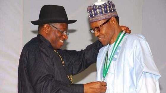 2023 presidency: Buhari's minister lands in trouble after making allegations against Jonathan