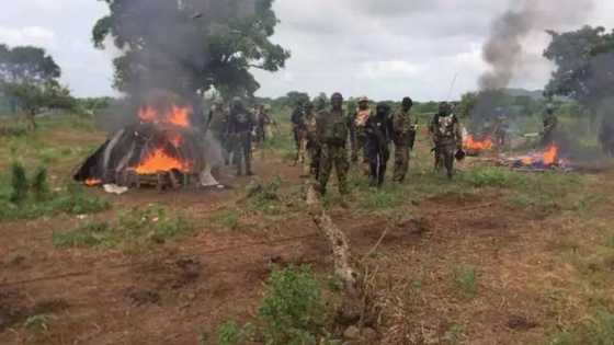 Sowore: Kidnapped victim says abductors were armed herdsmen