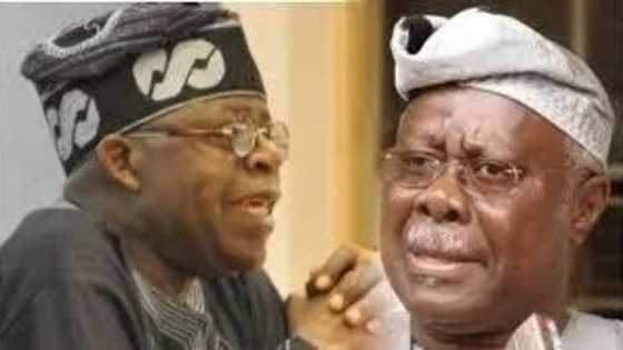 This Is The End Of Tinubu’s Political Career - Bode George Reacts To Saraki's Victory