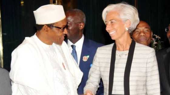 IMF confirms Nigeria out of recession, applauds CBN