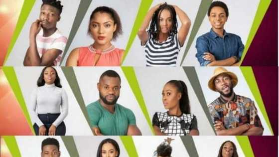 OPINION: How BBNAIJA 2017 saved Nigerians from depression, anxiety