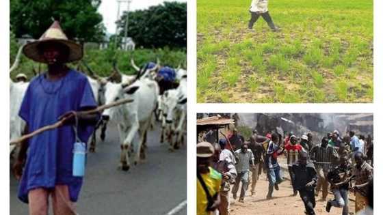 JUST IN: 4 dead, several others injured as Fulani herdsmen attack in Niger