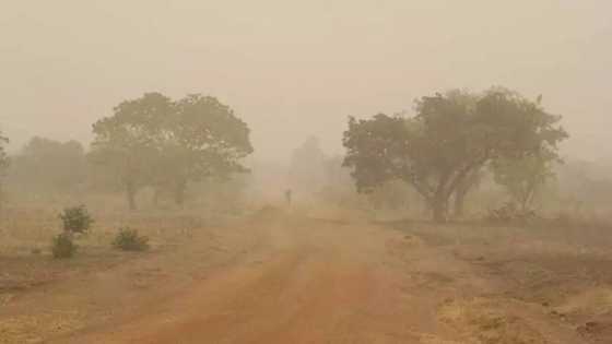 Major Nigerian cities to experience dust haze on Tuesday, January 30