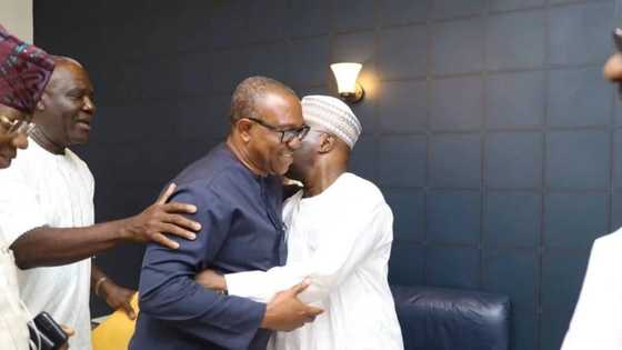 Obasanjo's initial plan for Peter Obi finally revealed by an insider