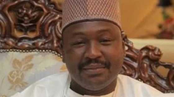 Zan lashe zabe a 2019 duk da na fice daga APC -Sanata Misau