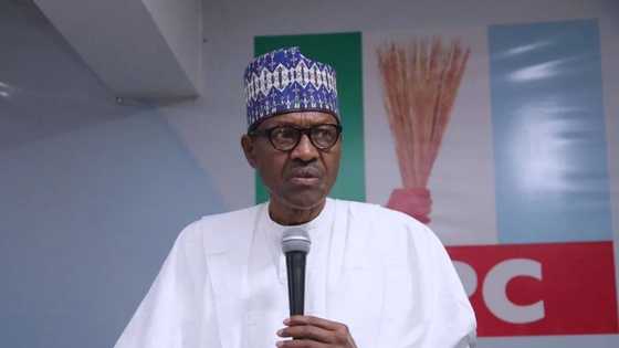 Buhari should just honourably leave the stage in 2019 - Northern youths, APC lawmakers disagree over endorsement of president's re-election