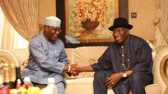 2023: Jonathan working with Wike, PDP G-5, bearing grudge against Atiku, Ayu? GEJ speaks