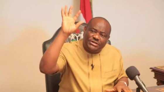 Ekiti election: I have never seen this type of political robbery - Wike