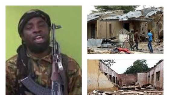 Boko Haram destroyed 900 churches - CAN