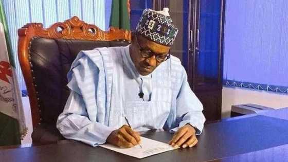 Buhari approves N10bn to rebuild areas ravaged by bandits, criminals in Benue, other states