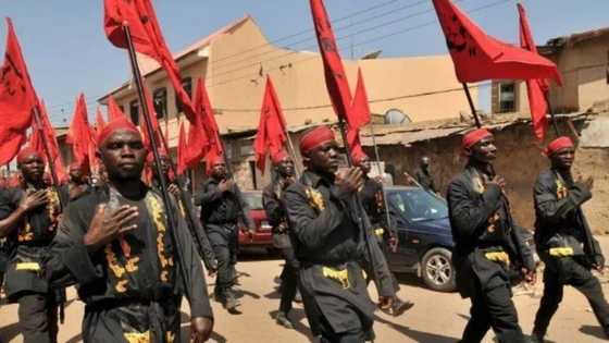 Makokin 40: 'Yan shia zasu fara machi zuwa zaria daga birane a qafa