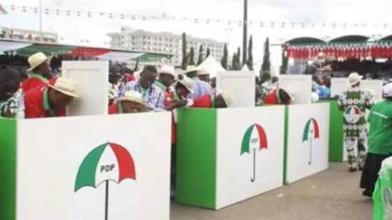 Yadda muka lallasa APC a zaben Abuja, haka zamuyi mata a 2023: PDP