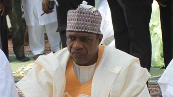 Gwamnatin jihar Yobe tayi feshin maganin kadangaru a makabartu