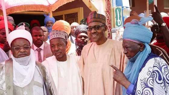 Zaben 2019: Sarakunan gargajiya sun yanke shawarar goyon bayan Buhari