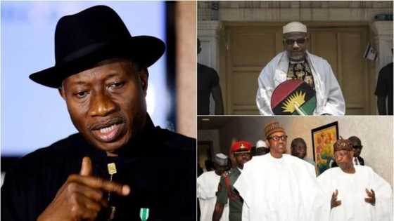Leave me out of your tales by moonlight on IPOB - Goodluck Jonathan warns Buhari's minister