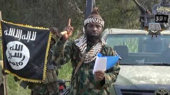 Kwamandojin Boko Haram Da Suka Tuba Sun Fadi Wani Sirri da Shekau Ya Bari Kafin a Sheke Shi