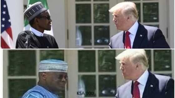 Bayyanar hoton Atiku da Trump - An gano gaskiyar maganar, hotuna