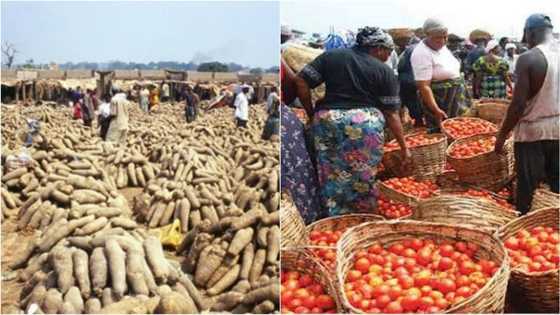 Nigeria’s economy is growing rapidly - Analysts