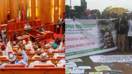 Leave President Buhari alone, he violated no law - Senate to protesters