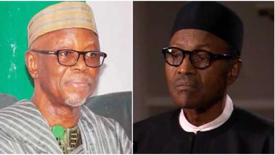 2019: Tension in APC as nPDP gives ultimatum, says time is running out for ruling party