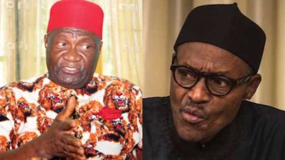 Buhari's approval of pension payment for Biafra police officers is justice long denied - Ohanaeze Ndigbo