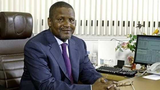 Dangote ya gina makarantan kasuwanci na kimanin N1.2bn ma jami’ar Bayero
