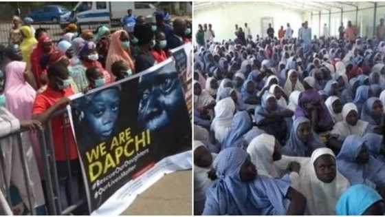 Abubuwa 11 da suka faru tun bayan sace 'yan matan Dapchi