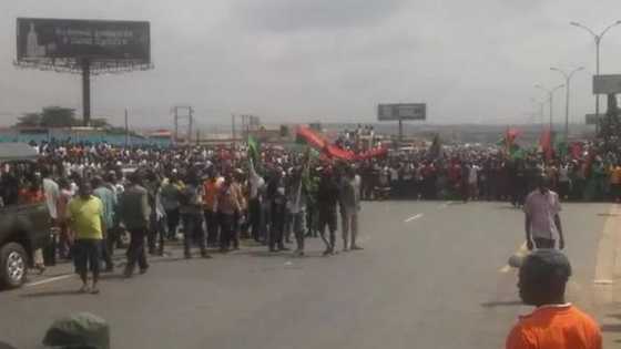 SHOCKING: Find out how many northern businessmen died in the IPOB/military clash in Onitsha