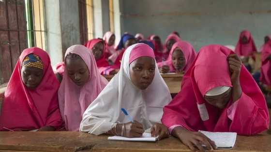 Good news: Over 7,000 girls to be trained by 12 state governments