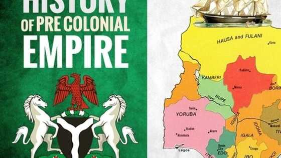 Find out some curious facts about pre-colonial political administration in Igboland