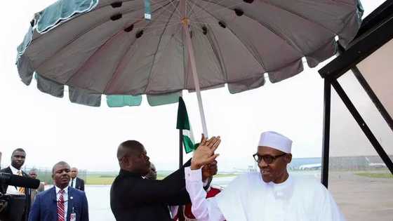 Yanzu Boko Haram ba ta da wani katabus a kasar mu - Shugaba Buhari