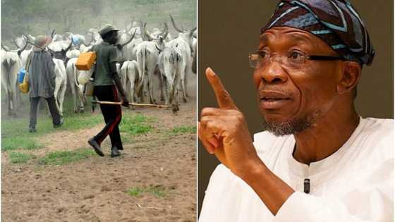 Methodist priest, 2 others abducted by suspected herdsmen in Osun yet to be found as police, group begin search