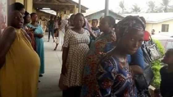 Ba lafiya: Hotunan mata masu juna-biyu 200 suna gudanar da zanga-zanga a Najeriya