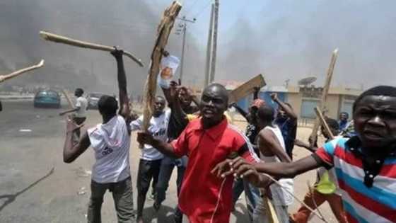 Naira Redesign: Timi Frank accuses APC of fueling crises to force election postponement