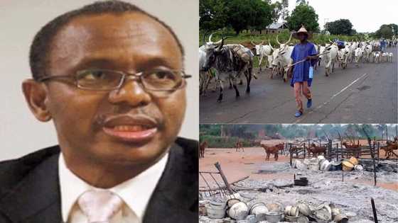 Fulani herdsmen blow hot, want police to arrest killers of their 54 members in Kaduna