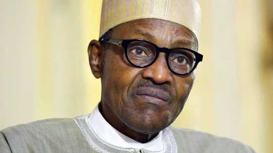 Recovered loot: Buhari succumbed to looters, list is not correct